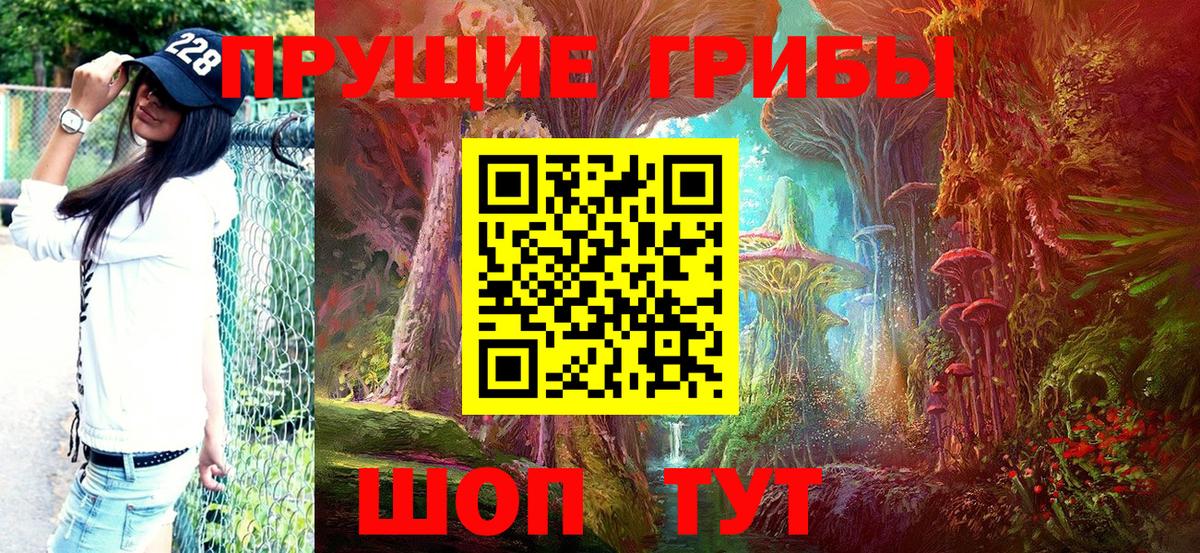 Псилоцибиновые грибы MAGIC MUSHROOMS  Вход с VPN  Краснокаменск 